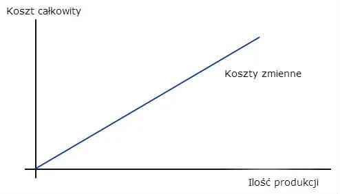 Co to są koszty zmienne?